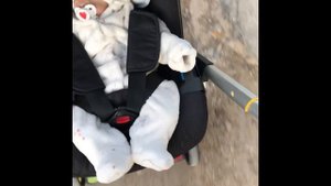 Прогулка с рёберном ,Вопрос-ответ🥰✊🏻Реборн Миа🤪🦊