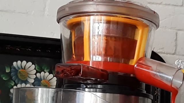 Выжимаем сок из клюквы. Обзор шнековой соковыжималки Kitfort KT-1102 смотреть онлайн