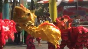 Vietnam, dragon Dance   Вьетнам, танец Драконов