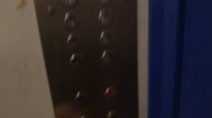 Электрические лифты V=0,71 м-с, грузоподъемность 240, 320 кг (1508)