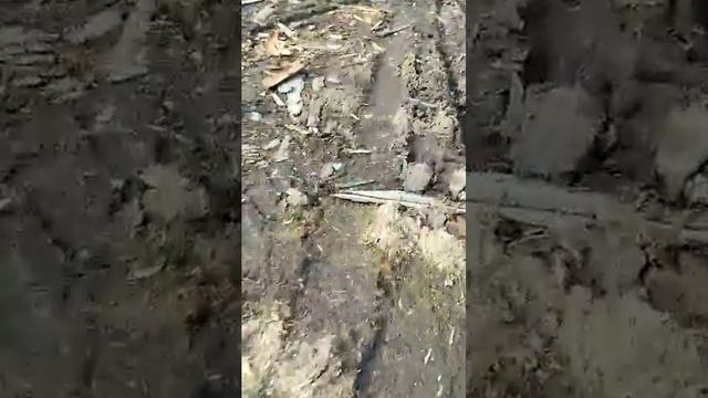 лесопилка 1 часть