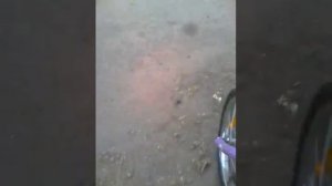 Упала с велика  разбила коленку ?