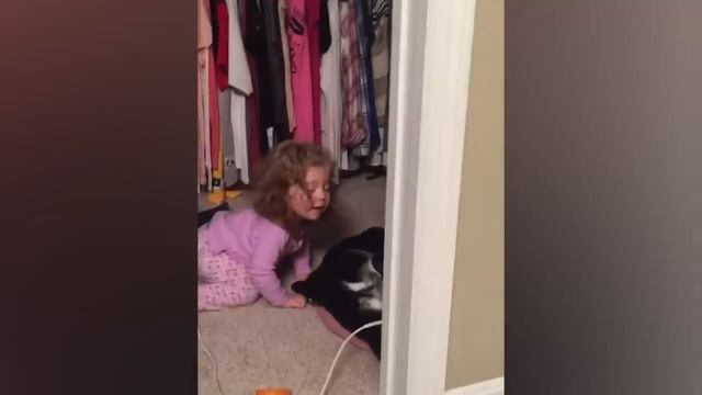 Funny Babies Playing with Dogs Compilation - Funny Baby and Pets || Cool Peachy смотреть онлайн