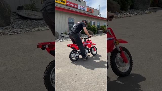 2022 Honda CRF 50 SOUND TEST!!!