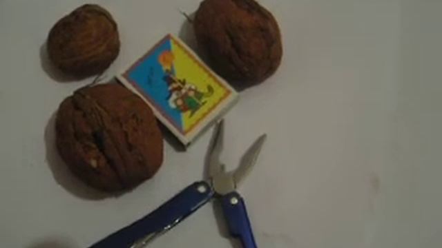 Як проростити великоплідні сорти горіха. смотреть онлайн