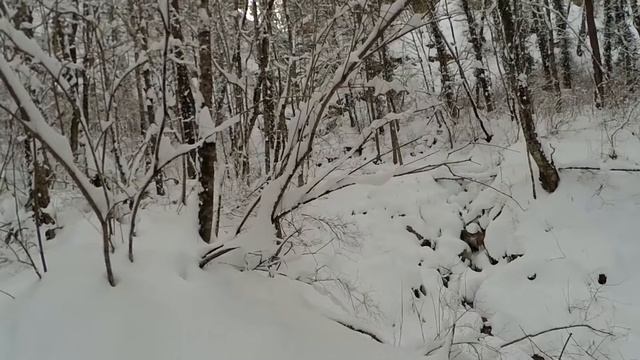Зимний Мезмай, к водопаду "Алебастровый", декабрь 2018г