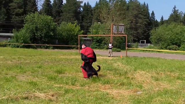 20170716 143305 Добрянка 16.07.2017. Дорс 3 этап. смотреть онлайн