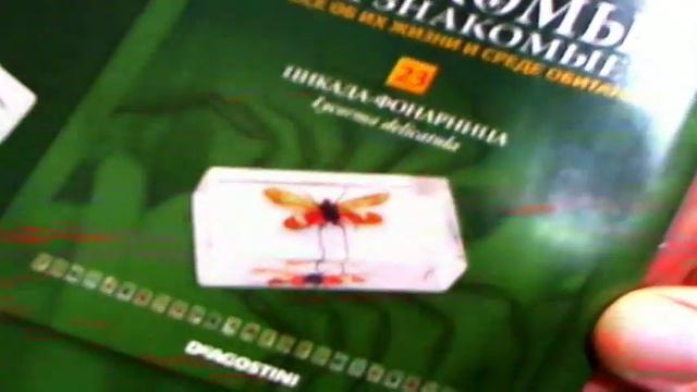 Настоящие насекомые и их знакомые 22 Красотел смотреть онлайн