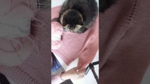 Пряжа Пехорка "Народная"