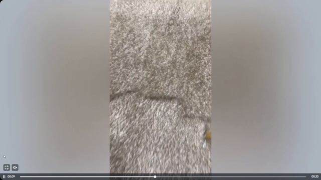 Щетка для удаления шерсти, ворса, машинка для удаления катышек, скребок для одежды, ролик от катыше смотреть онлайн