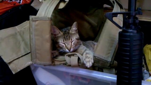 Броник - самое то смотреть онлайн