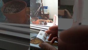 провисла створка?правильное распакечивание створки