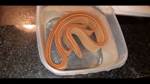 Ремень из кожи | Как сделать кожаный ремень своими руками - мастер класс