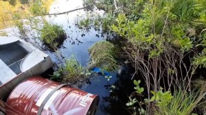 Трап (пирс) из бочек на озере смастерили.