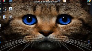 Как установить фон на рабочий стол.