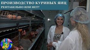 Интервью с агроэкспертами. Рентабельно ли производство куриных яиц для малого и среднего бизнеса?