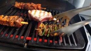 WEBER PULSE 1000 in Action 4