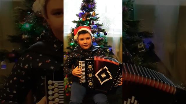 Продолжаем новогоднюю тематику 🎄🎵🪗 #баян #гармонь  "Кабы не было зимы"