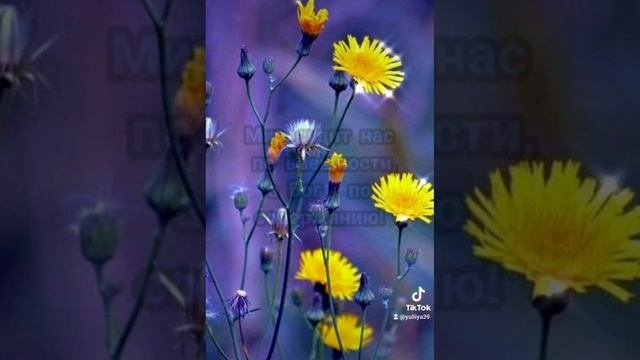 Музыкальная открытка