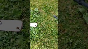 Быстрая промывка вторичного теплообменника газового котла Navien Deluxe