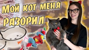 МОЙ КОТ МЕНЯ РАЗОРИЛ!? | РАСПАКОВКА