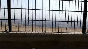 Каир с горы Мукаттам: город Мусорщиков, город Мёртвых, Каирская цитадель, Мукаттам Сити ??