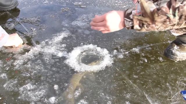 Малые реки Черноземья. Сезон 2. Выпуск 1 HD