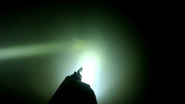 Пронское водохранилище.Подводная охота на чёрного амура ночью.Отвели душу после морозов.
