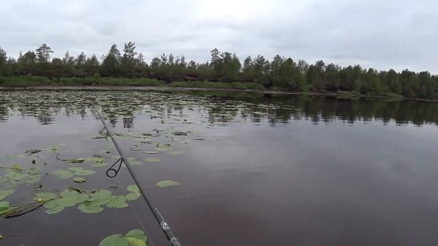 Ловлю щуку в траве на неогруженную резину! Отличный способ! смотреть онлайн