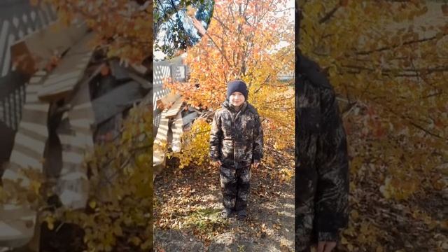 Золотая волшебница осень.
