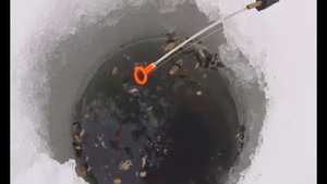АРИС Рыбалка в Куюргазинском районе