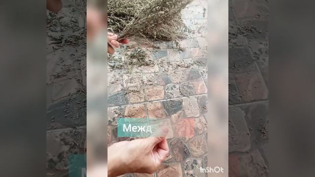 Скрутка из ПОЛЫНИ/делаем САМИ