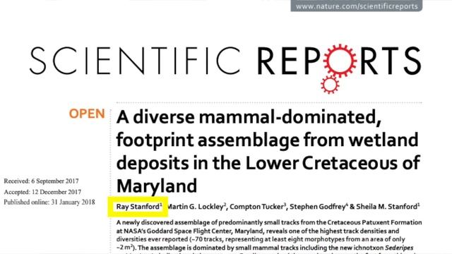 Analyzing UFO Photographs with Ray Stanford смотреть онлайн