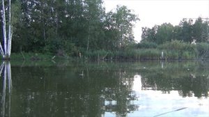 Ловля крупного карася на поплавок | Рыбалка Кемерово 2020