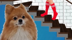 Я построила СЕКРЕТНУЮ КОМНАТУ для СОБАКИ !