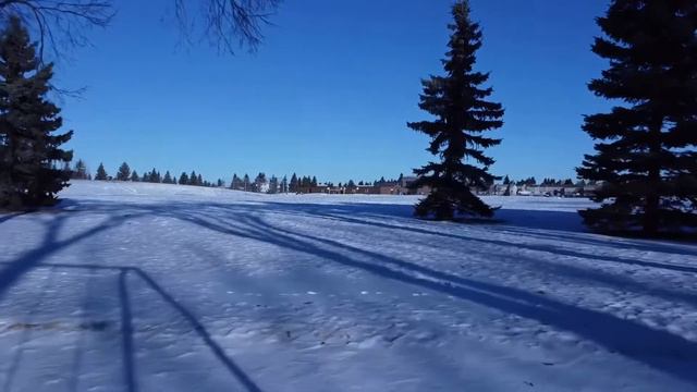 Playing at the park with my Dji mavic mini ops I crashed freestyle part 3 смотреть онлайн