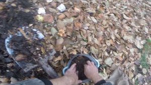 Как заготовить червей на зиму, видео rybachil.ru.mpg