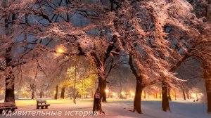 Жених бросил беременную невесту и женился на своей любовнице. А спустя 20 лет он встретил...