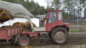 Самодельный вилочный погрузчик , погрузка , вывоз , выгрузка навоза .