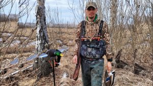 Охота на селезня весной из естественного укрытия!!! Отличные налеты!!!