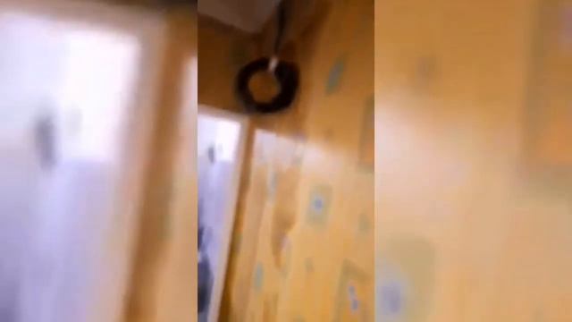 В Кривом Роге квартиру затопило кипятком на пр Гагарина смотреть онлайн