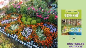 Тема 7. Культурные растения Беларуси. Декоративные растения