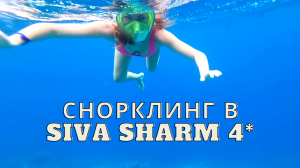 ПОДВОДНЫЙ МИР ЕГИПТА? Снорклинг в Siva Sharm?НАКИПЕЛО! ТРЕШ В СТОЛОВОЙ/Египет 2023