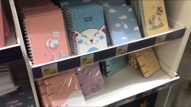 ЗАКУПАЕМСЯ КАНЦЕЛЯРИЕЙ и не только В ЛЕНТЕ ? BACK TO SCHOOL 2021 смотреть онлайн