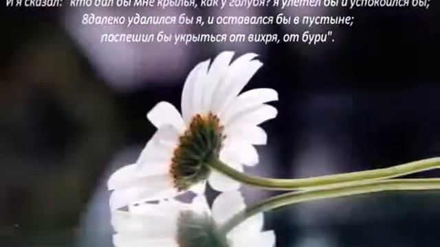 Псалом 53,54 Боже! именем Твоим спаси меня! смотреть онлайн