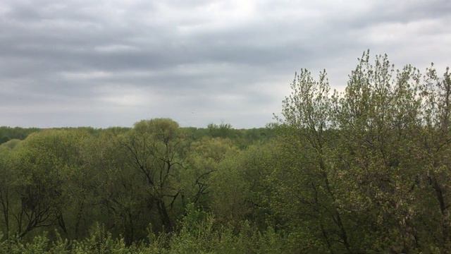 Рязань Чтобы попасть в кремль, нужно пройти по Глебовскому мосту, который переброшен через ров, защ смотреть онлайн