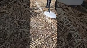 GDS2000 GoldSeekers Gold Detectors with 5inch DD coil and 6x10 DD coil