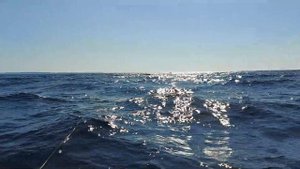 Терский берег Кольский полуостров - ловля трески  в Белом море