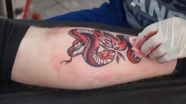 Tattoo Time Lapse Coloured Snake Tattoo смотреть онлайн