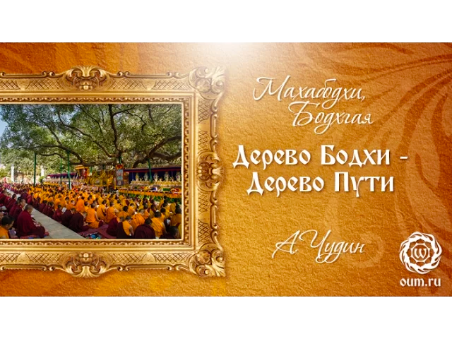 Дерево Бодхи - Дерево Пути. Антон Чудин